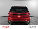 2025 Honda Passport Black Edition
